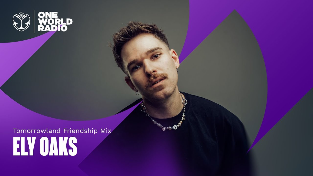 Tomorrowland Friendship Mix